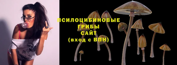 мет Балахна