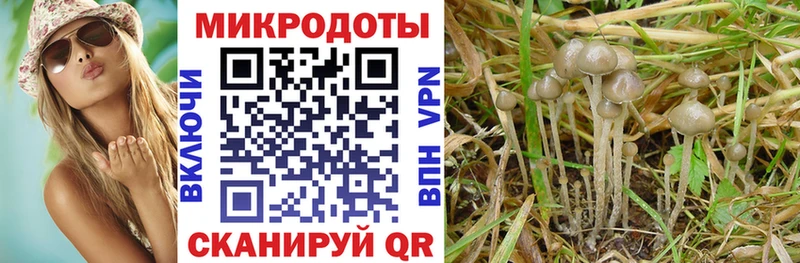 где можно купить наркотик  даркнет официальный сайт  Галлюциногенные грибы ЛСД  Тосно 