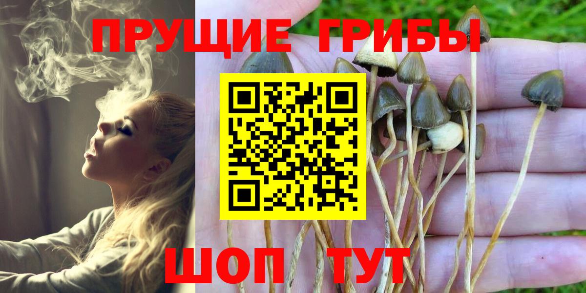 наркошоп  Псилоцибиновые грибы прущие грибы  Вход с VPN  Тосно 